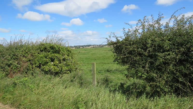 View North To Whalton From Ogle