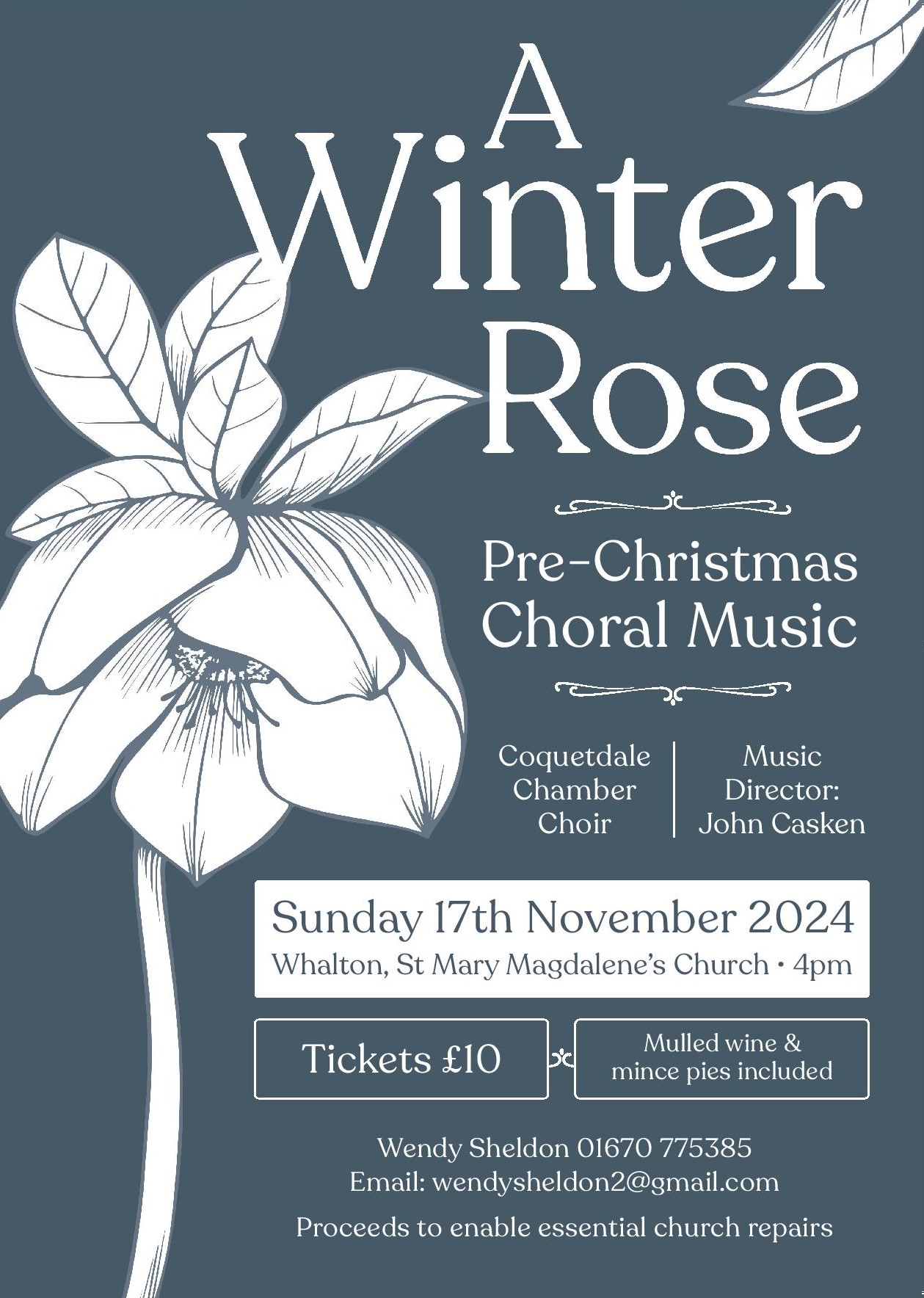 A Winter Rose - 17th November